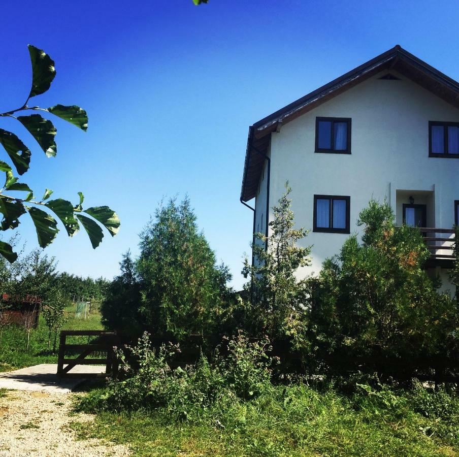 Bran White Clouds House And Chalet Exteriér fotografie