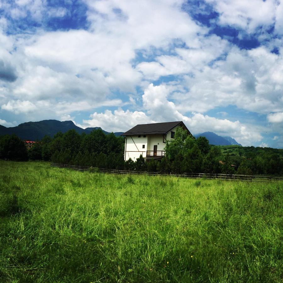 Bran White Clouds House And Chalet Exteriér fotografie